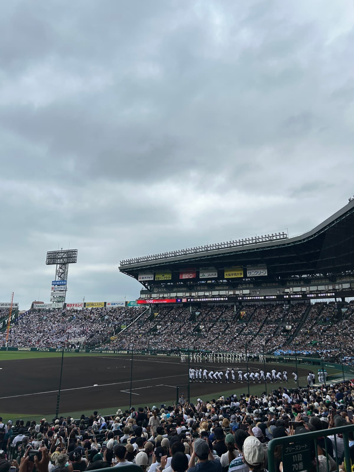 プロアマどちらも大好き